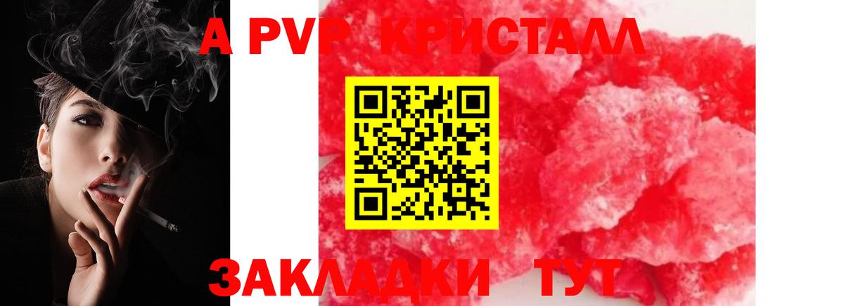 A-PVP СК Ливны