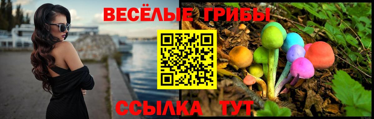 Ливны  Псилоцибиновые грибы мицелий  Вход с VPN 